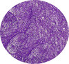 Glamorous Farbgel "Hot Purple"